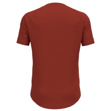 Odlo Hiking/Leisure Tshirt Crew Neck Ascent Performance Wool 130 with Landscape Print Red Men